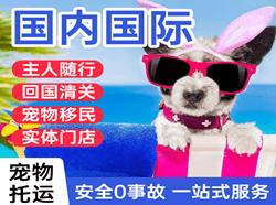 湿地航空货运国际宠物托运 【国